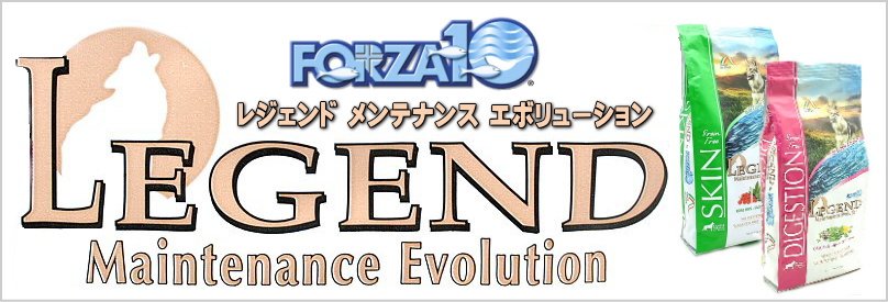 フォルツァ10 レジェンド