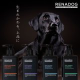 スキン＆コートを上品に生まれ変わらせ 理想のスタイリングを叶えるプロ用シャンプー「RENADOG レナドッグ」の取り扱い開始！