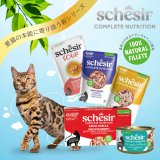 シシア猫用全品リニューアル発売開始！