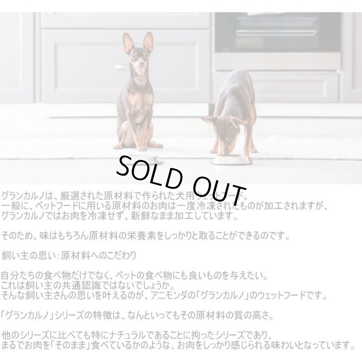 画像7: 最短賞味2027.12・アニモンダ 犬グランカルノ 豚・サーモン・ホウレンソウ400g/82476成犬用ウェット正規品 (7)