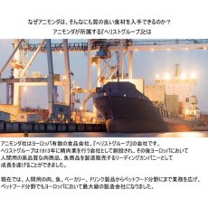 画像5: 最短賞味2026.9・アニモンダ 猫 フォムファインステン ミルキースinソース 牛・ミルクソース100g 83039成猫用ウェット正規品 (5)