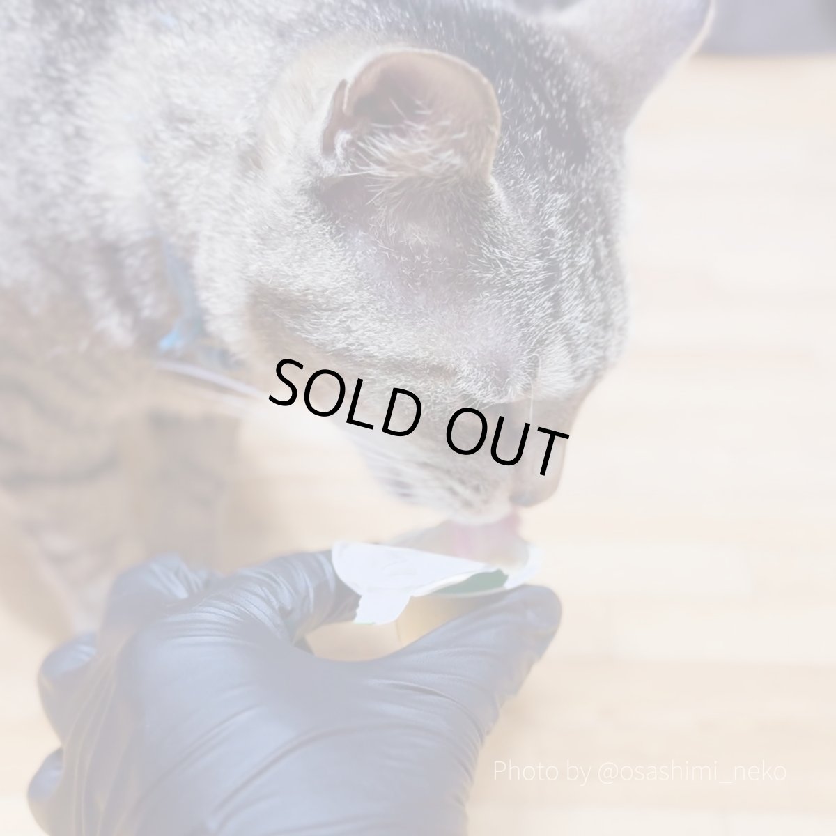 画像4: 最短賞味2026.7・アニモンダ 猫用 ミルキース ミルクポーション バラエティ 15g×4カップ 83094猫用おやつANIMONDA正規品 (4)