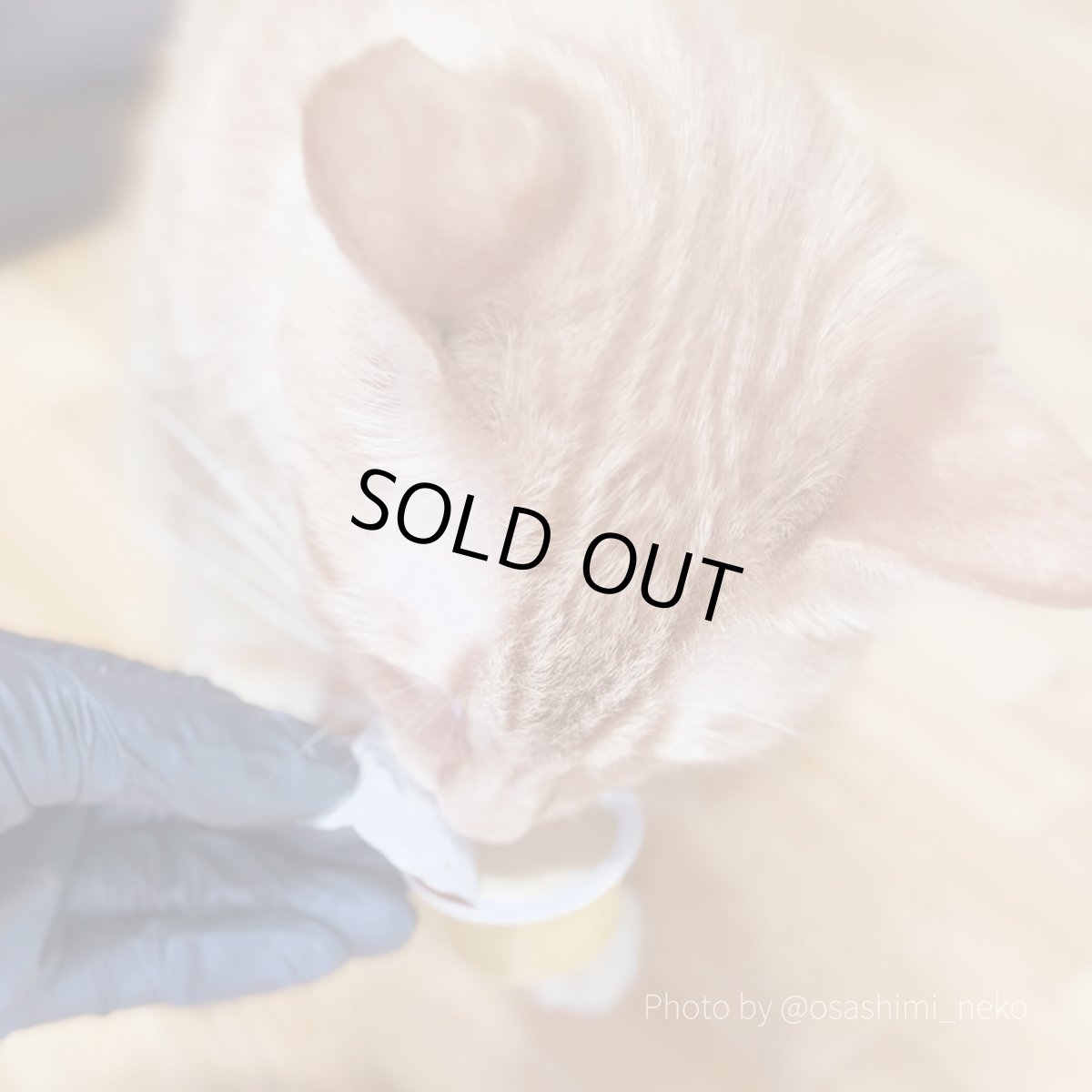 画像5: 最短賞味2026.7・アニモンダ 猫用 ミルキース ミルクポーション バラエティ 15g×4カップ 83094猫用おやつANIMONDA正規品 (5)