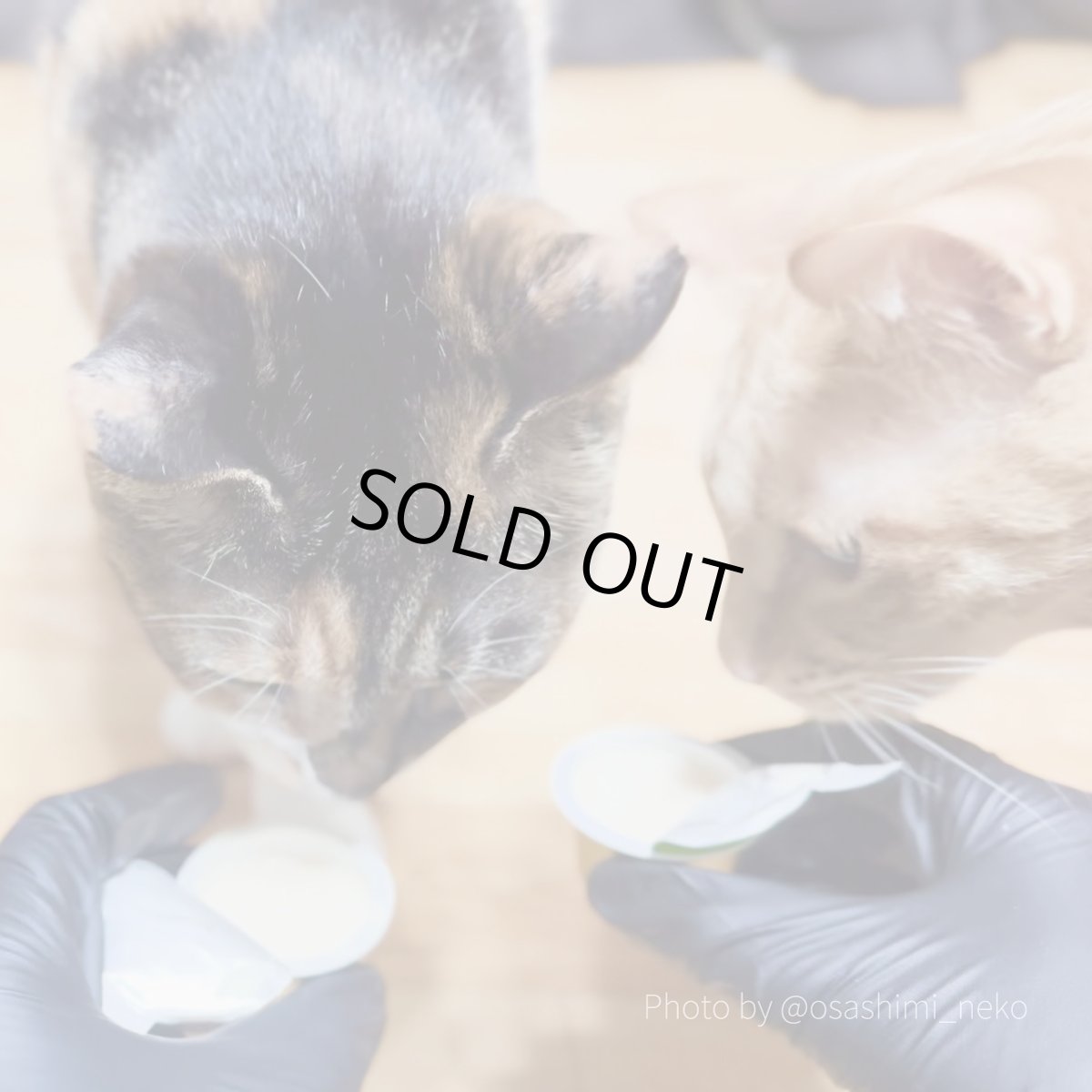 画像6: 最短賞味2026.7・アニモンダ 猫用 ミルキース ミルクポーション バラエティ 15g×4カップ 83094猫用おやつANIMONDA正規品 (6)