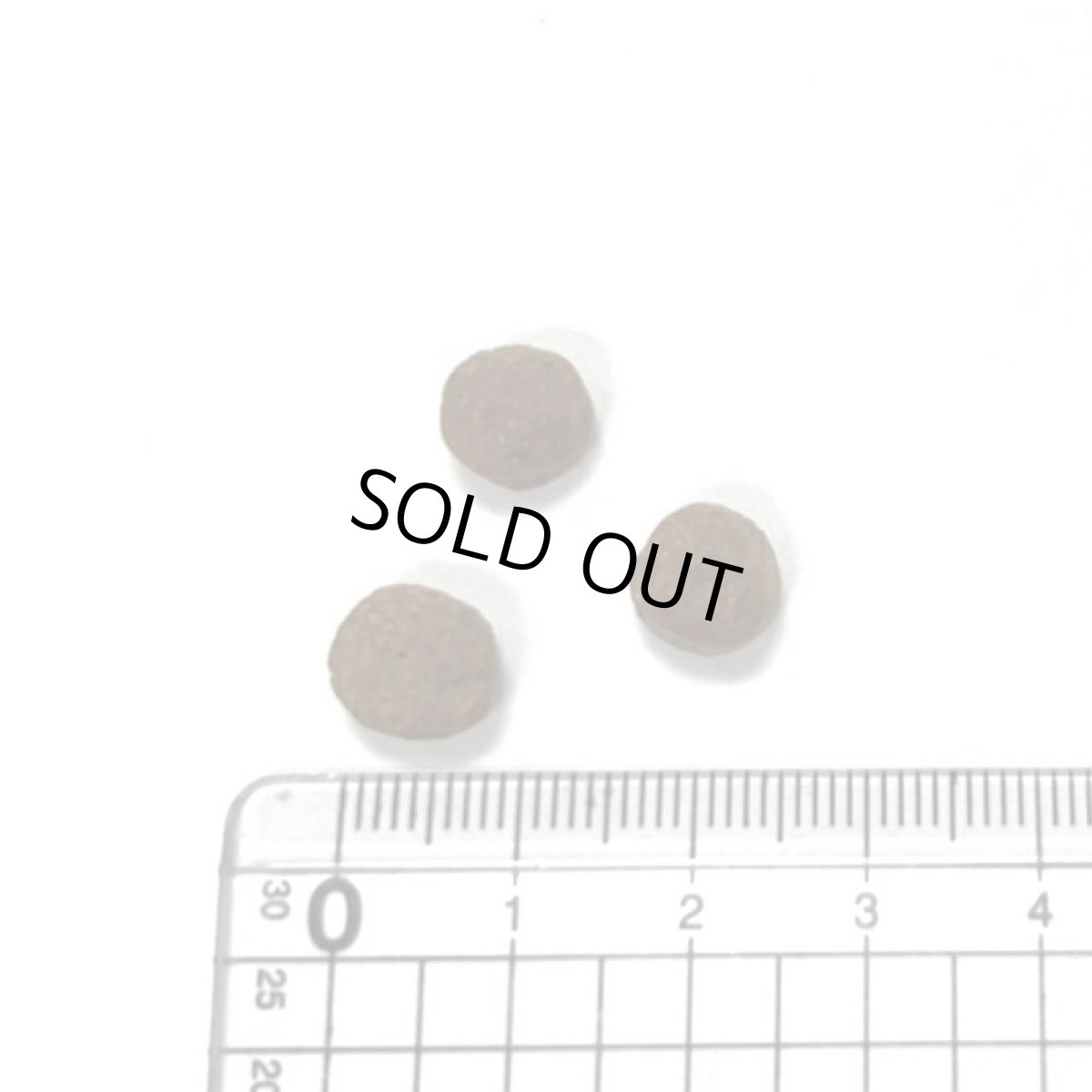 画像2: NEW 最短賞味2026.9.16・アニモンダ 猫 カーニー ドライ 高齢猫用 シニア 1.75kg/83547キャットフードANIMONDA正規品 (2)