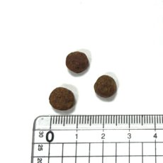 画像2: NEW 最短賞味2026.9.16・アニモンダ 猫 カーニー ドライ 高齢猫用 シニア 1.75kg/83547キャットフードANIMONDA正規品 (2)