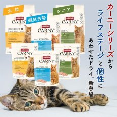 画像7: NEW 最短賞味2026.9.16・アニモンダ 猫 カーニー ドライ 高齢猫用 シニア 1.75kg/83547キャットフードANIMONDA正規品 (7)