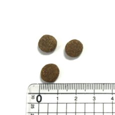 画像2: NEW 最短賞味2026.9.23・アニモンダ 猫 カーニー ドライ 成猫用 避妊・去勢済猫向け 鶏・七面鳥 350g/83549キャットフード正規品 (2)