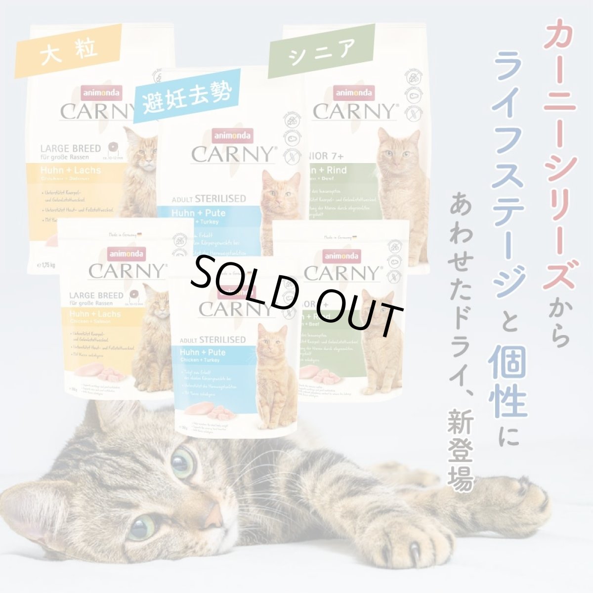 画像7: 最短賞味2026.11.5・アニモンダ 猫 カーニー ドライ 成猫用 避妊・去勢済猫向け 鶏・七面鳥 1.75kg/83550キャットフード正規品 (7)