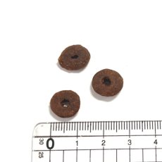 画像2: NEW 最短賞味2026.9.10・アニモンダ 猫 カーニー ドライ 成猫用 大型猫種向け 鶏・サーモン 1.75kg/83553キャットフード正規品 (2)