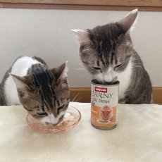 画像5: 最短賞味2025.6・アニモンダ 猫 カーニー ドリンク チキン140ml缶83591猫用スープ一般食ANIMONDA正規品 (5)