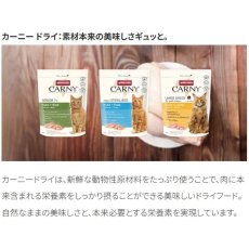 画像6: 最短賞味2027.6.6・アニモンダ 猫 カーニー ドライ 成猫用 鶏・トラウト 350g/83875キャットフードANIMONDA正規品 (6)