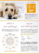 画像6: 最短賞味2027.11・アニモンダ 犬 インテグラプロテクト ニーレン 腎臓ケア(豚)150g 86534ドッグフード ウェットANIMONDA正規品 (6)