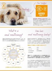 画像6: 最短賞味2027.12・アニモンダ 猫 インテグラプロテクト pHケア シュウ酸カルシウム結石 pH6.7 鴨 ウエットフード 100g 86612猫用療法食ANIMONDA正規品 (6)