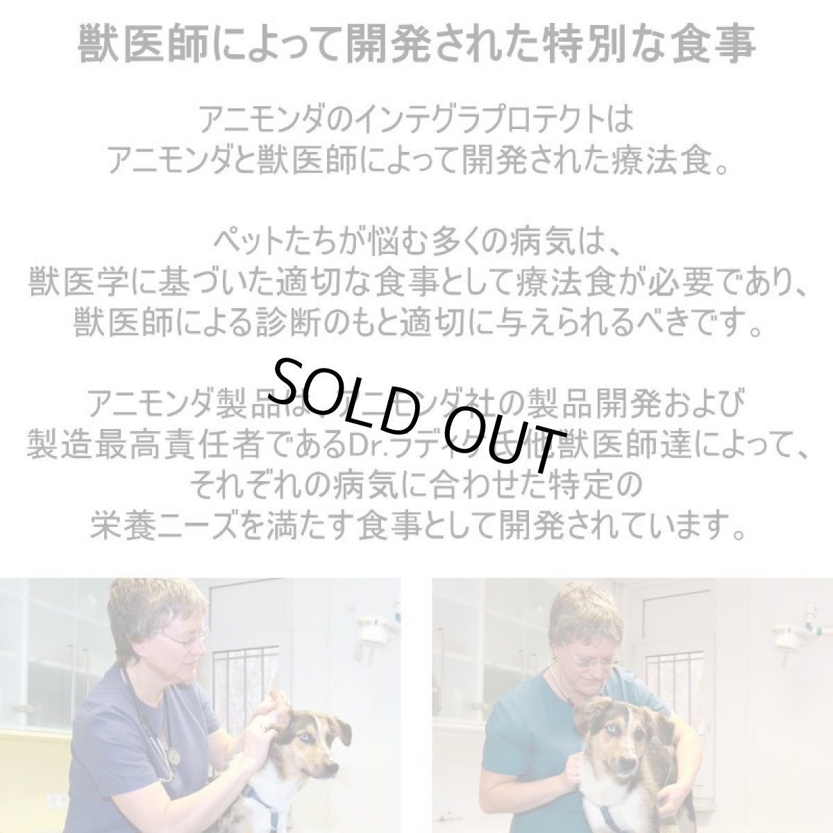 画像5: 最短賞味2027.12・アニモンダ 猫 インテグラプロテクト アレルギーケア 豚のみ100g 86696猫用療法食ウェットANIMONDA正規品 (5)