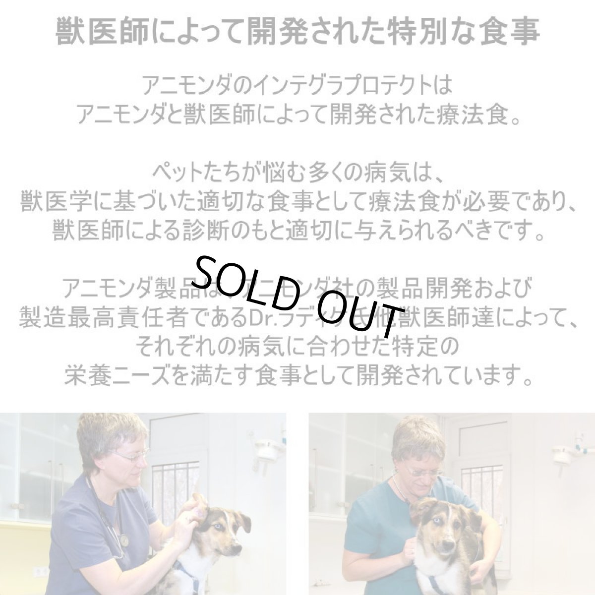画像5: SALE/1+1個・賞味期限2026.11・アニモンダ 猫 インテグラプロテクト アレルギーケア 子羊・ライス100g 86851猫用療法食ANIMONDA正規品 (5)