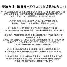 画像5: 最短賞味2027.1.3・アニモンダ 猫 ニーレン 腎臓ケア1.2kgドライ86930インテグラプロテクトANIMONDA正規品 (5)
