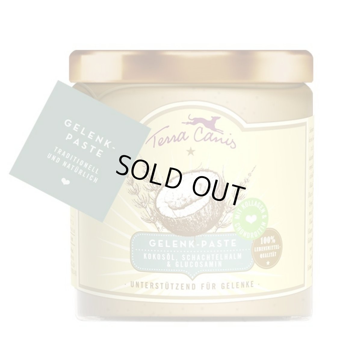 画像2: 最短賞味2026.10・テラカニス 犬用 ペーストサプリ ジョイントペースト 250ml 栄養補助食品 TerraCanis 正規品tc24873 (2)