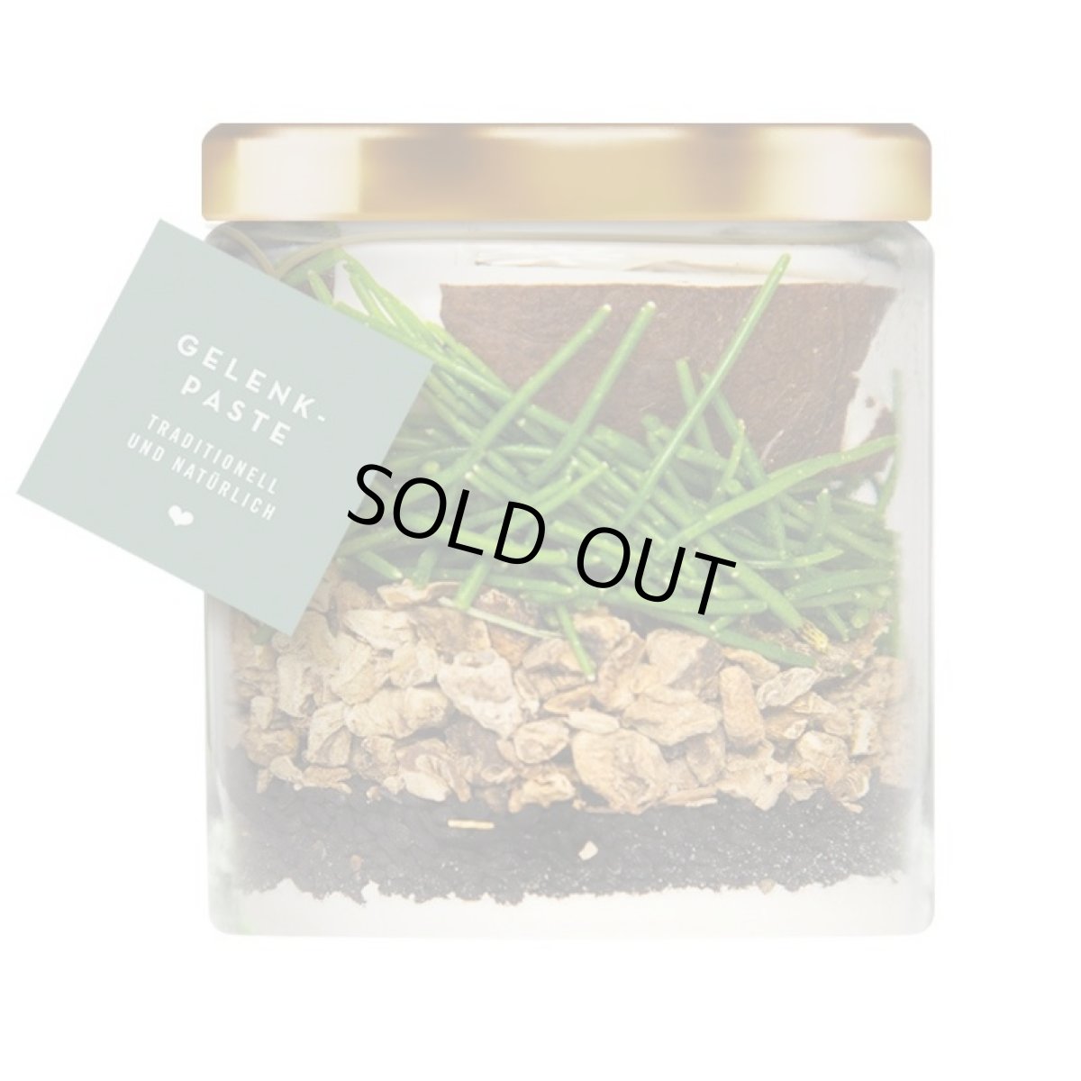 画像3: 最短賞味2026.10・テラカニス 犬用 ペーストサプリ ジョイントペースト 250ml 栄養補助食品 TerraCanis 正規品tc24873 (3)