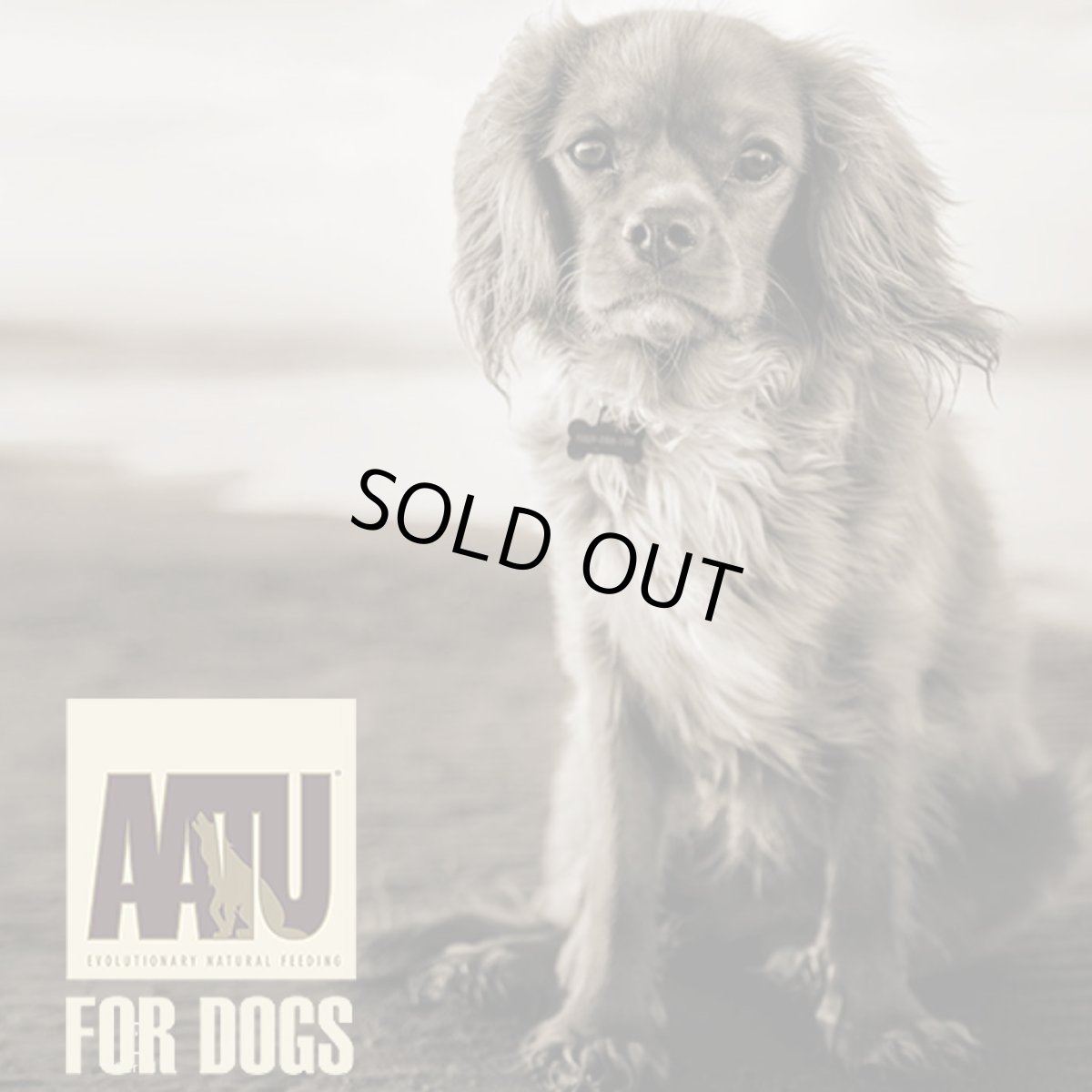 画像7: おまけ付き！最短賞味2026.11.6・リニューアル品アートゥー サーモン 5kg犬用ドライ穀物不使用ドッグフードAATU正規品aa11916 (7)