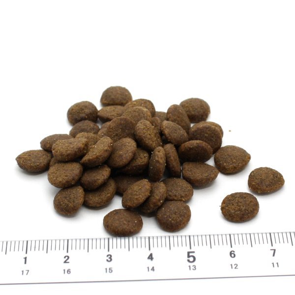 最短賞味2026.12.14・アートゥー キャットフード チキン3kg成猫用
