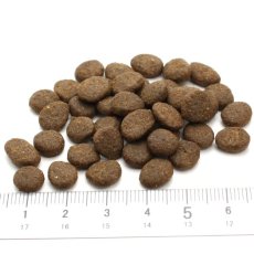 画像2: 最短賞味2025.8.21・アートゥー キャットフード サーモン 3kg成猫用グレインフリーAATU正規品aa12272 (2)