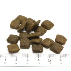 画像2: 最短賞味2027.1.22・リニューアル品アートゥー ターキー 1.5kg 犬用ドライAATU正規品aa13071 (2)