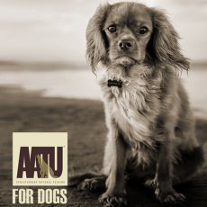 画像7: 最短賞味2027.1.22・リニューアル品アートゥー ターキー 1.5kg 犬用ドライAATU正規品aa13071 (7)