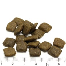 画像2: おまけ付き！最短賞味2027.1.22・リニューアル品アートゥー ターキー 5kg 犬用ドライAATU正規品aa13088 (2)