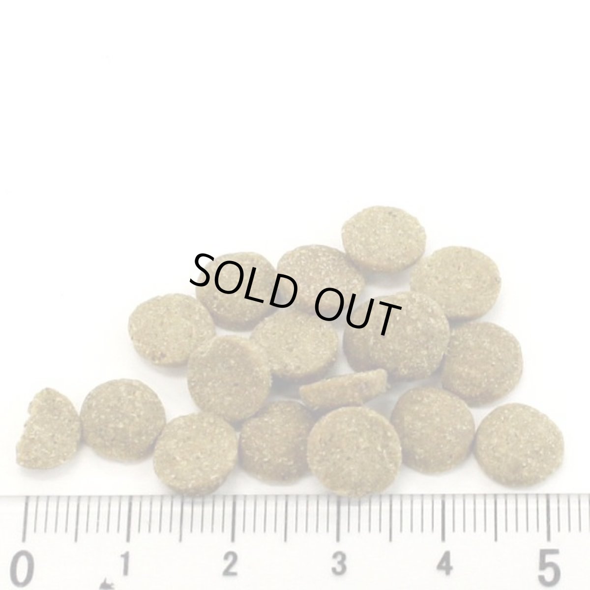 画像2: NEW 最短賞味2027.8.15・アディクション 猫 ワイルドアイランズ キャット パシフィックキャッチ50g全年齢猫用 有料サンプル正規品adc12001 (2)