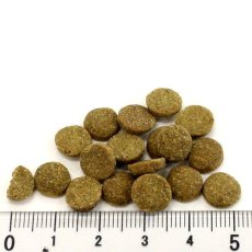 画像2: NEW 最短賞味2027.8.15・アディクション 猫 ワイルドアイランズ キャット パシフィックキャッチ50g全年齢猫用 有料サンプル正規品adc12001 (2)