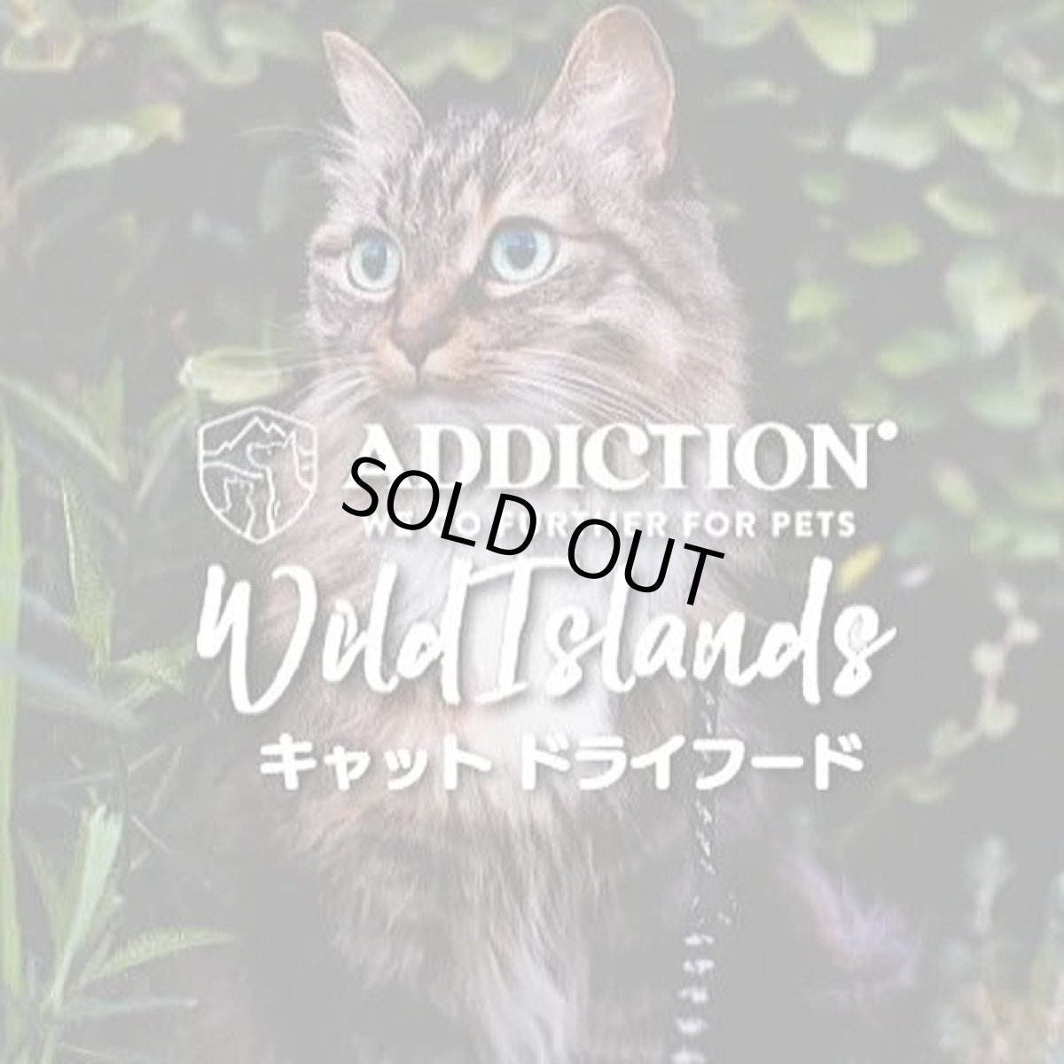 画像7: NEW 最短賞味2027.8.15・アディクション 猫 ワイルドアイランズ キャット パシフィックキャッチ50g全年齢猫用 有料サンプル正規品adc12001 (7)