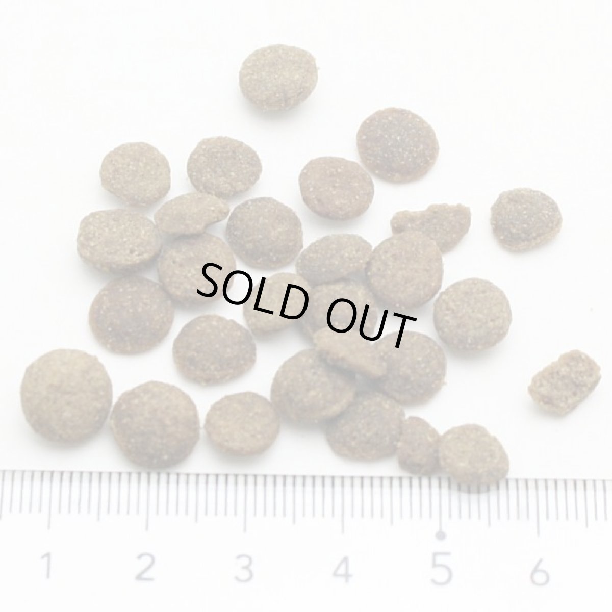 画像2: NEW 最短賞味2027.1.26・アディクション 猫 サーモンブルー 50g全猫種全年齢用 有料サンプル正規品adc12004 (2)