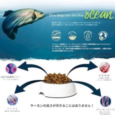 画像4: NEW 最短賞味2027.1.26・アディクション 猫 サーモンブルー 50g全猫種全年齢用 有料サンプル正規品adc12004 (4)