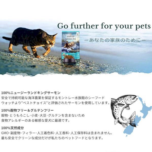 アディクション キャットフード 猫 900g×2 最短賞味2026.7.13・アディクション 猫 サーモンブルー 900g全猫