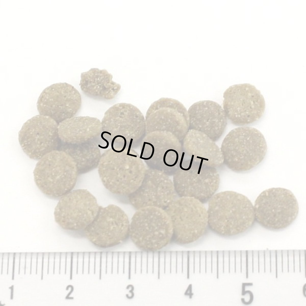 画像2: NEW 最短賞味2027.5.9・アディクション 猫 ワイルドアイランズ キャット フォレストミート50g全年齢猫用 有料サンプル正規品adc12100 (2)