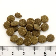 画像2: NEW 最短賞味2027.5.9・アディクション 猫 ワイルドアイランズ キャット フォレストミート50g全年齢猫用 有料サンプル正規品adc12100 (2)