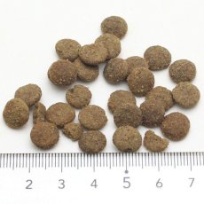 画像2: NEW 最短賞味2027.1.5・アディクション 猫 ビバ・ラ・ベニソン 50g全年齢猫用 有料サンプル正規品adc12103 (2)