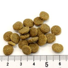 画像2: NEW 最短賞味2027.5.9・アディクション 猫 ワイルドアイランズ キャット ハイランドミーツ50g成猫用 有料サンプル正規品adc12209 (2)