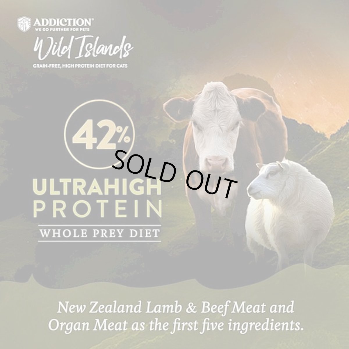 画像4: NEW 最短賞味2027.5.9・アディクション 猫 ワイルドアイランズ キャット ハイランドミーツ50g成猫用 有料サンプル正規品adc12209 (4)