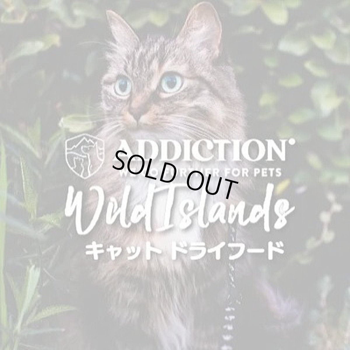 画像7: NEW 最短賞味2027.5.9・アディクション 猫 ワイルドアイランズ キャット ハイランドミーツ50g成猫用 有料サンプル正規品adc12209 (7)