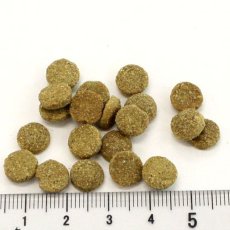 画像2: NEW 最短賞味2027.5.10・アディクション 猫 ワイルドアイランズ キャット アイランドバーズ50g全年齢猫用 有料サンプル正規品adc12803 (2)