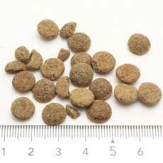 画像2: NEW 最短賞味2027.9.19・アディクション 猫 ダックロイヤル 50g全年齢猫用 有料サンプル正規品adc12905 (2)