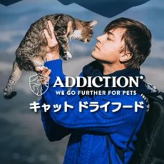 画像7: NEW 最短賞味2027.9.19・アディクション 猫 ダックロイヤル 50g全年齢猫用 有料サンプル正規品adc12905 (7)