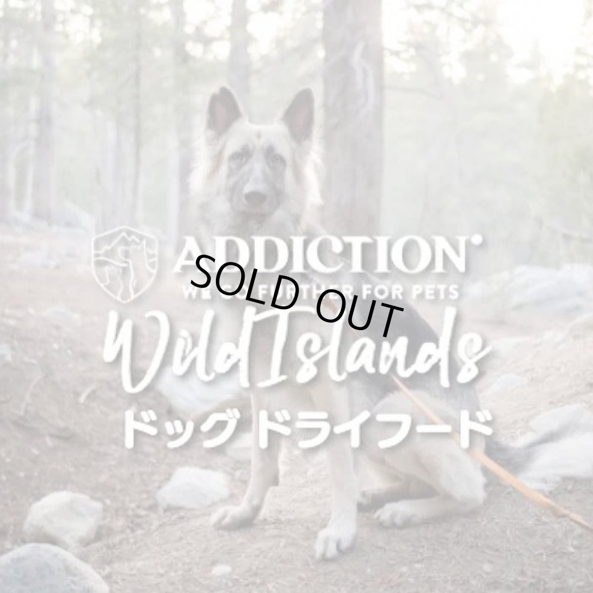 画像7: NEW 最短賞味2026.10.4・アディクション 犬 ワイルドアイランズ ドッグ パシフィックキャッチ50g全年齢犬用 有料サンプル正規品add11004 (7)