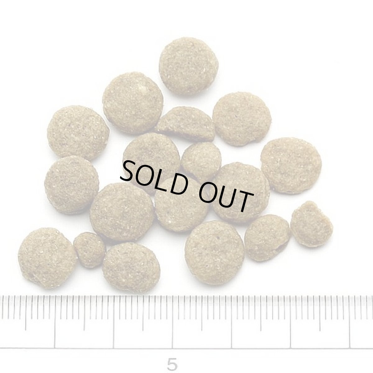 画像2: NEW 最短賞味2027.7.5・アディクション 犬 サーモンブルー 50g全年齢犬用 有料サンプル正規品add11007 (2)