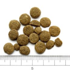 画像2: NEW 最短賞味2027.7.5・アディクション 犬 サーモンブルー 50g全年齢犬用 有料サンプル正規品add11007 (2)