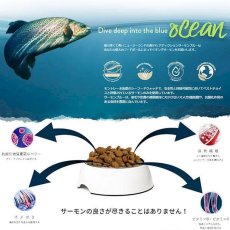 画像4: 最短賞味2027.7.5・アディクション 犬 サーモンブルー 4.8kg（800g×6袋）専用ダンボール出荷 袋のラベル無し 正規品add11038 (4)