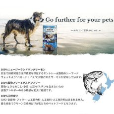 画像5: 最短賞味2027.7.5・アディクション 犬 サーモンブルー 4.8kg（800g×6袋）専用ダンボール出荷 袋のラベル無し 正規品add11038 (5)