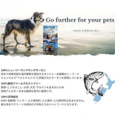 画像5: NEW 最短賞味2024.8.6・アディクション 犬 サーモンブルー 500g全年齢犬用ドッグフードADDICTION正規品add11090 (5)